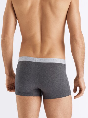 Hanro Pants 2-Pack ' Cotton Essentials ' in Grau