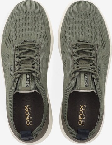 Sneaker bassa 'Spherica' di GEOX in verde