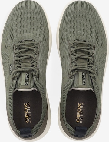 GEOX Sneakers laag 'Spherica' in Groen