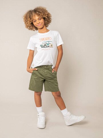 Regular Pantalon 'VARTY' Deeluxe en vert : devant