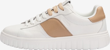 Baskets hautes LLOYD en blanc : devant