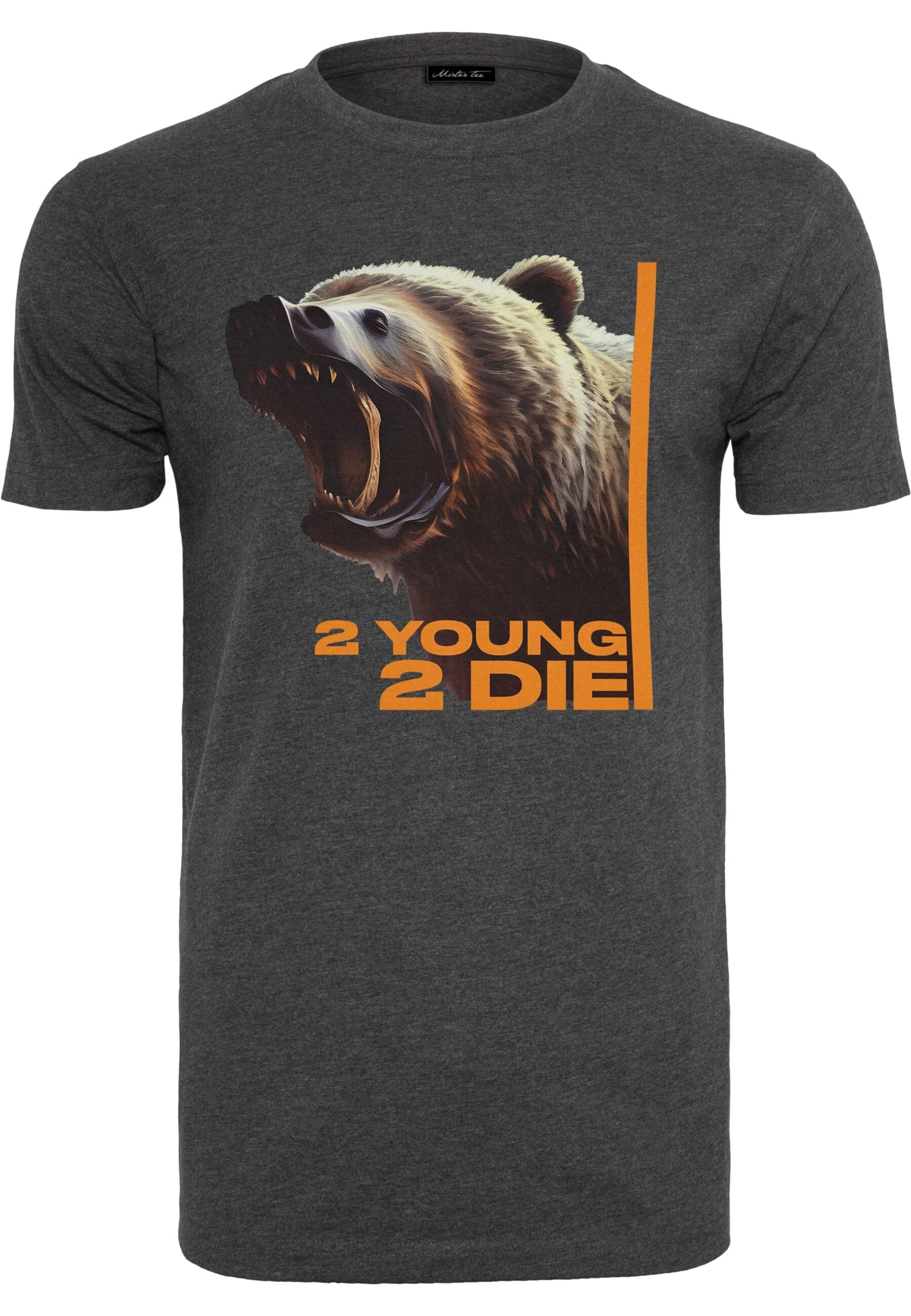 Mister Tee - Camiseta '2 Young 2 Die' en gris: frente