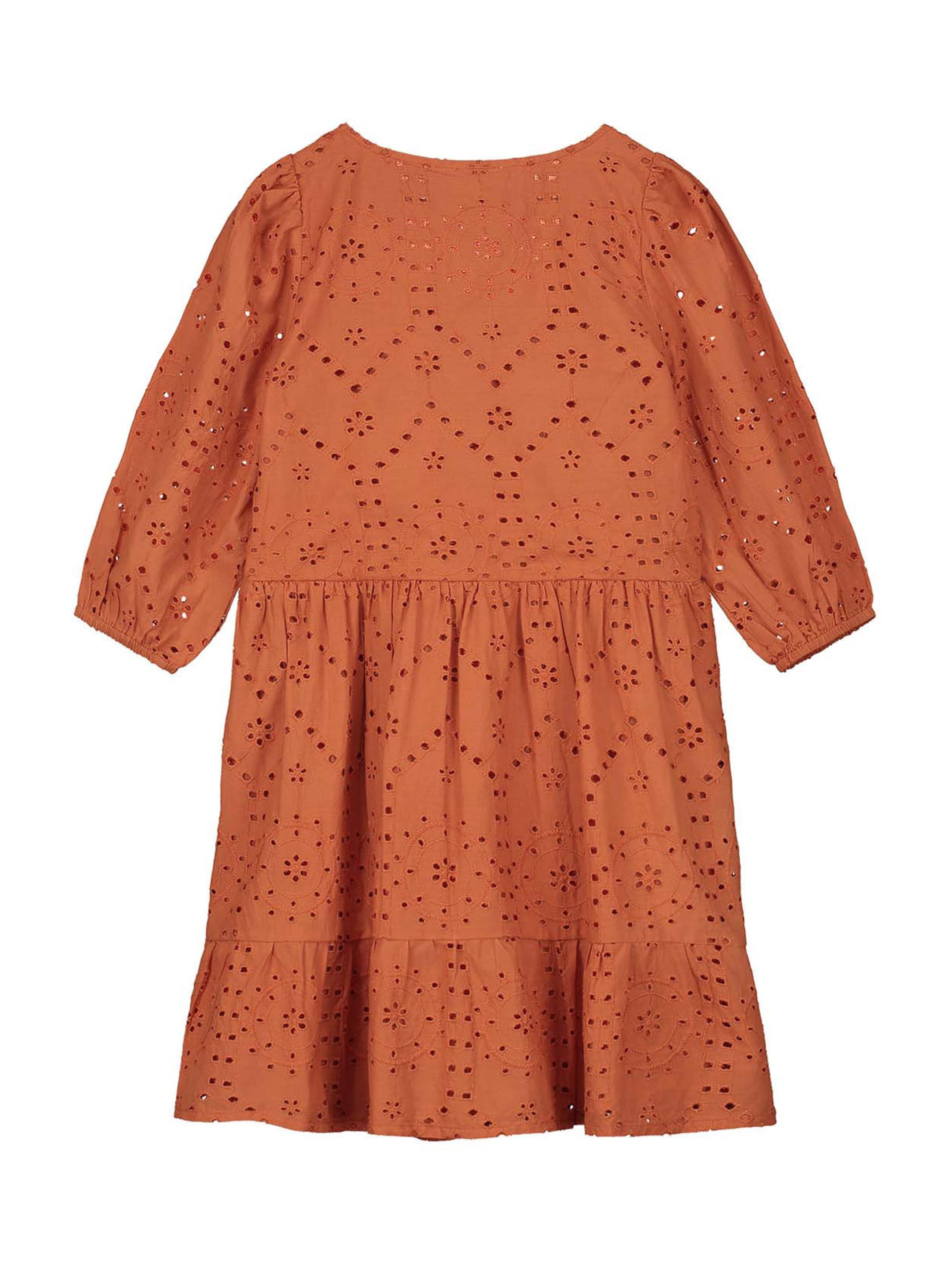 ShiwiHaljina 'TUSCANY' - smeđa boja