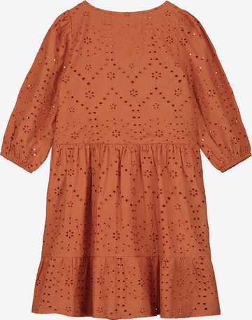 Shiwi Dress 'TUSCANY' in Brown