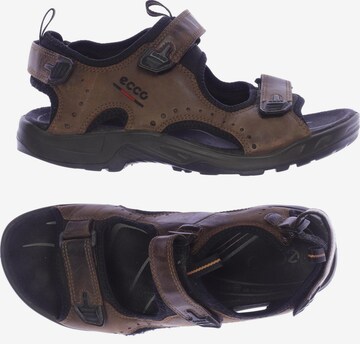 ECCO Sandalen 42 in Braun: predná strana