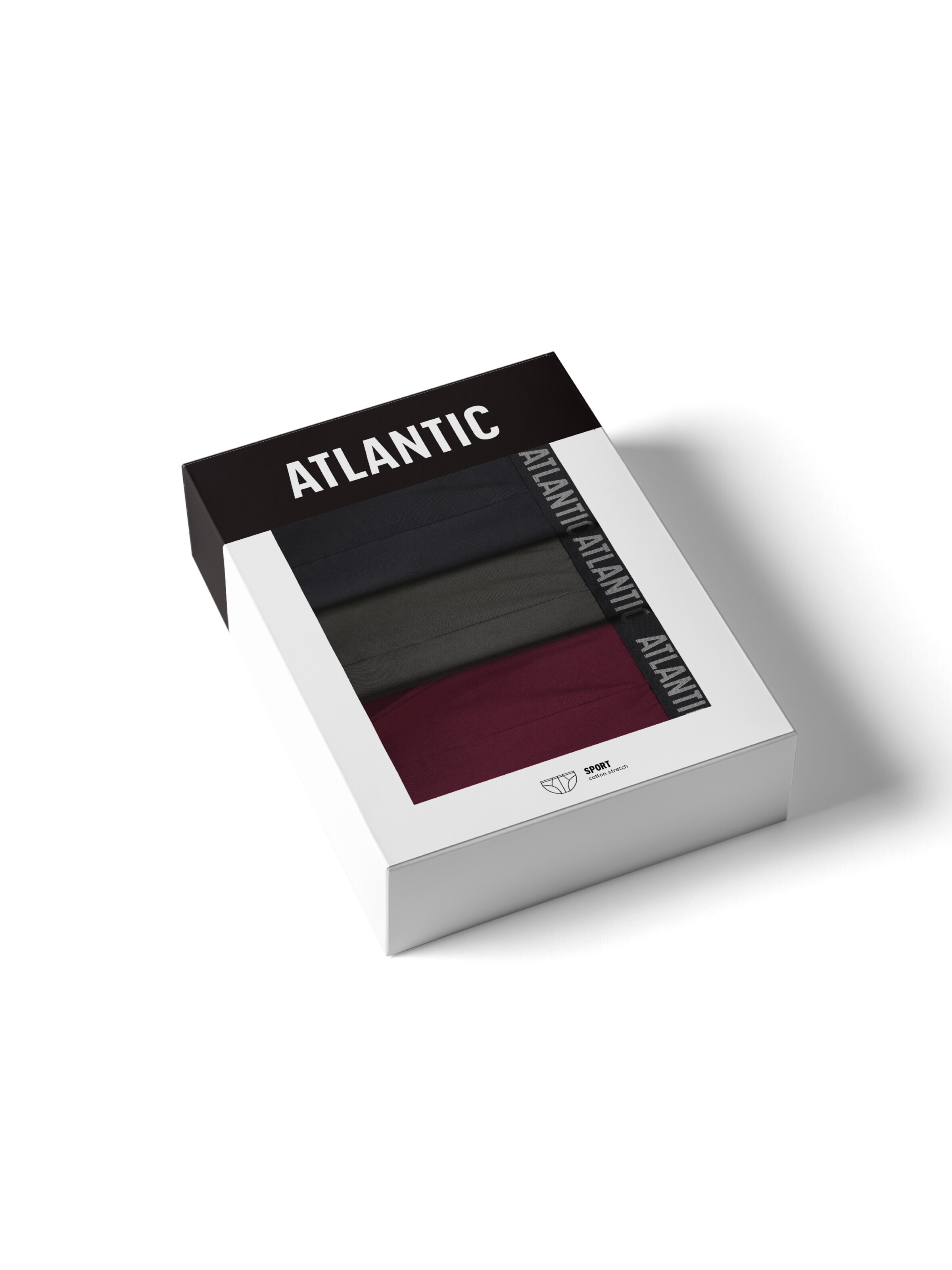 Atlantic Panty 'ATLANTIC' in Purple