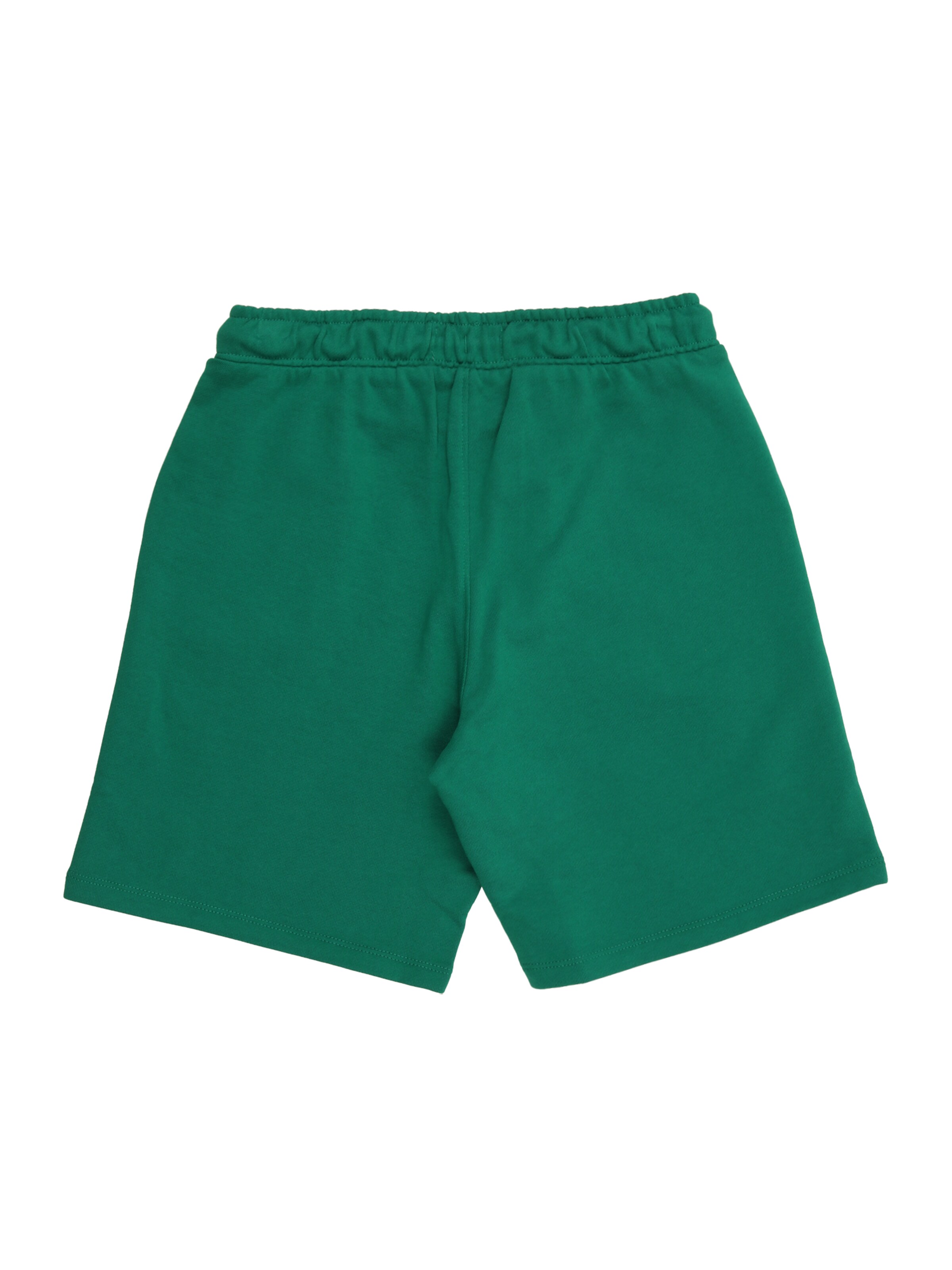 Regular Pantalon Calvin Klein Jeans en vert