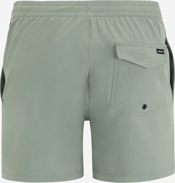 QUIKSILVER Swimming Trunks 'SURFSILK VLY 16' in Grey