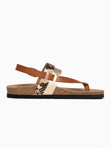 Bayton Sandal 'Lajas' i brun