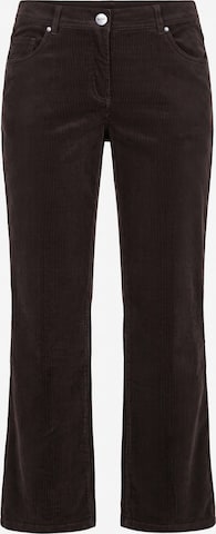 Ulla Popken Flared Jeans in Brown: front