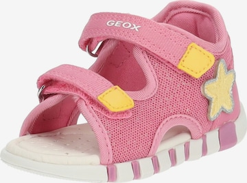 Sandalo di GEOX in rosa: frontale