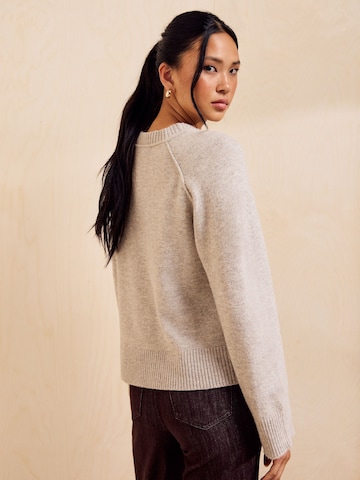 Pull-over Friends Like These en beige