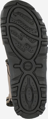 smėlio GEOX Sportinio tipo sandalai 'Strada'