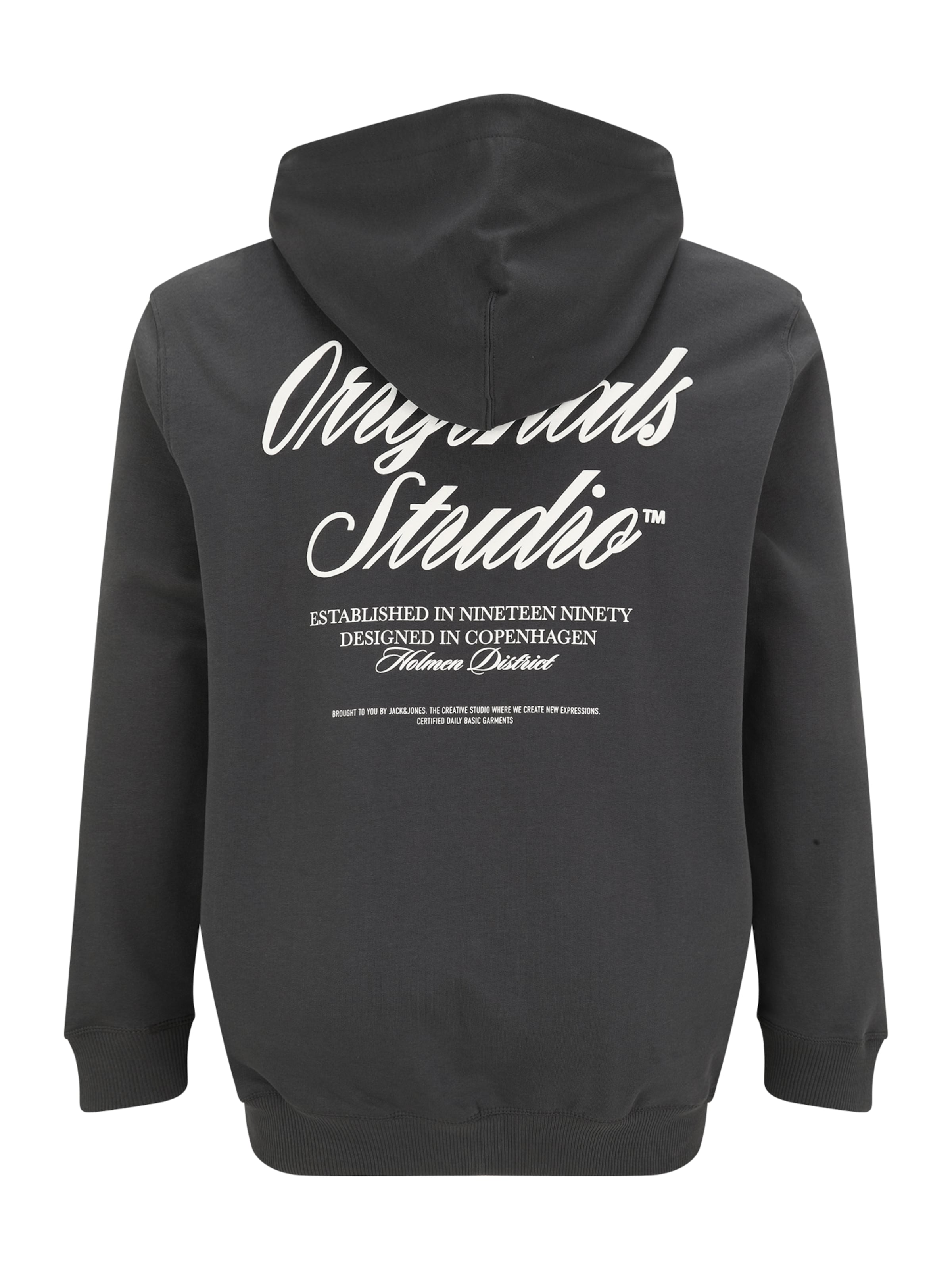 Jack & Jones Plus Свитшот 'JORNORREBRO' в Серый