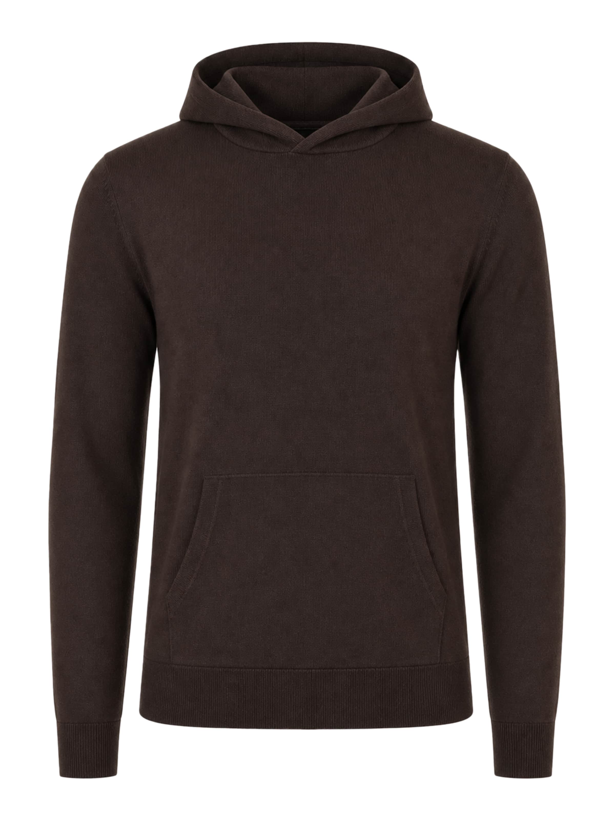 BRAVE SOUL Pullover i brun: forside