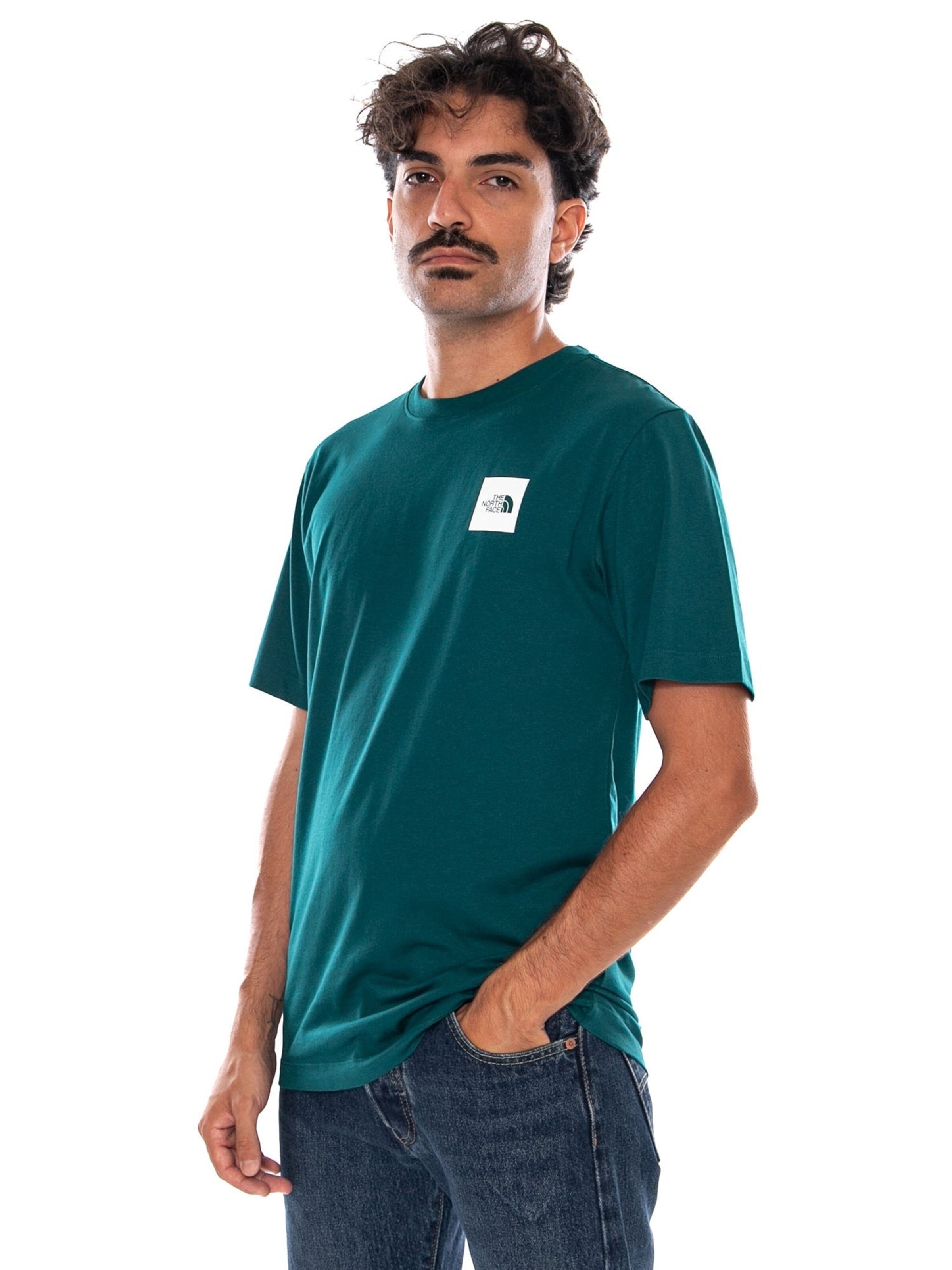 THE NORTH FACE Koszulka 'M EVO BOX HD RG SS T PACIFIC TEAL / SMALL' w kolorze zielony