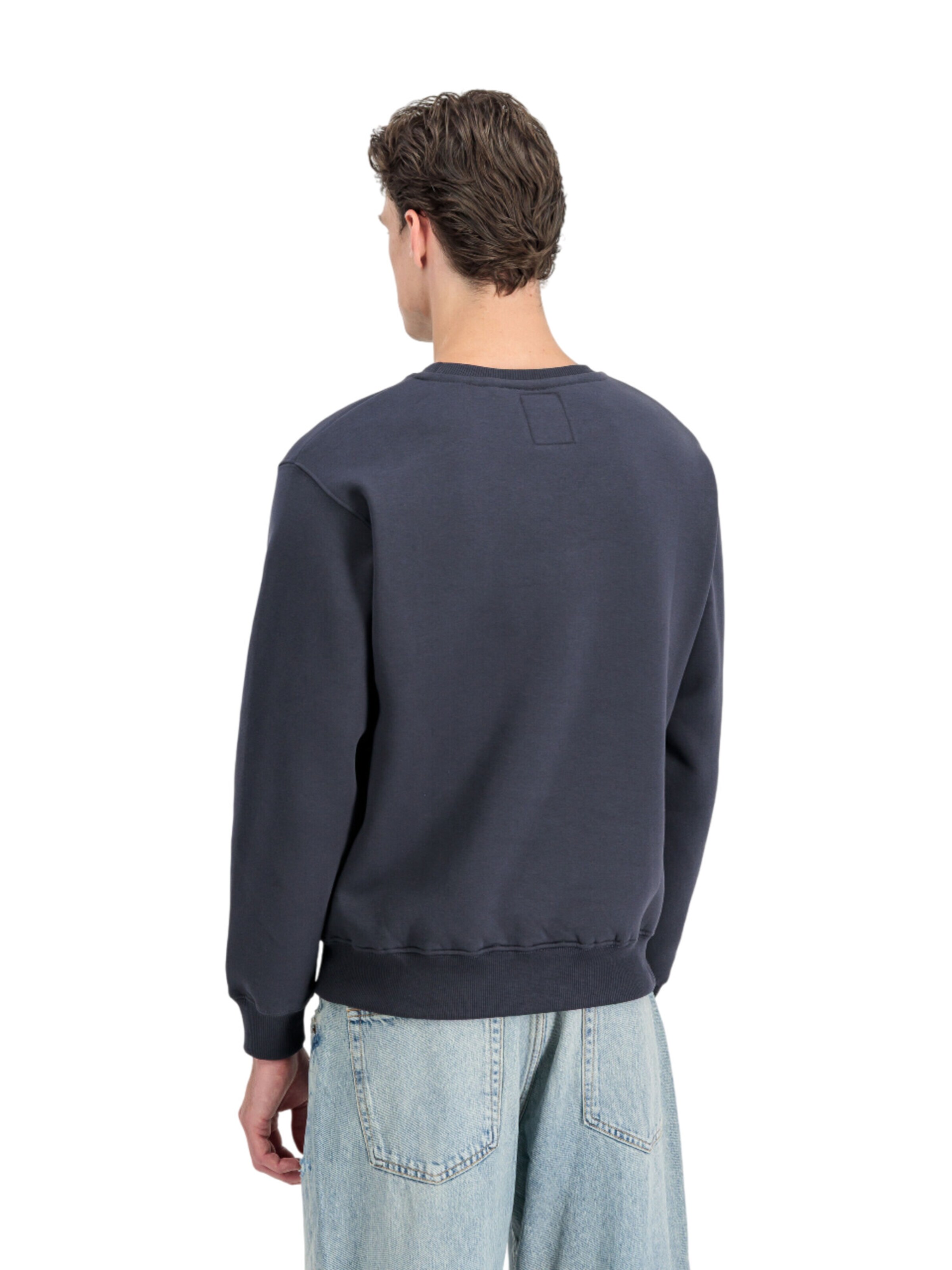 ALPHA INDUSTRIES Sweatshirt 'Basic Small Logo'‌ in Blau