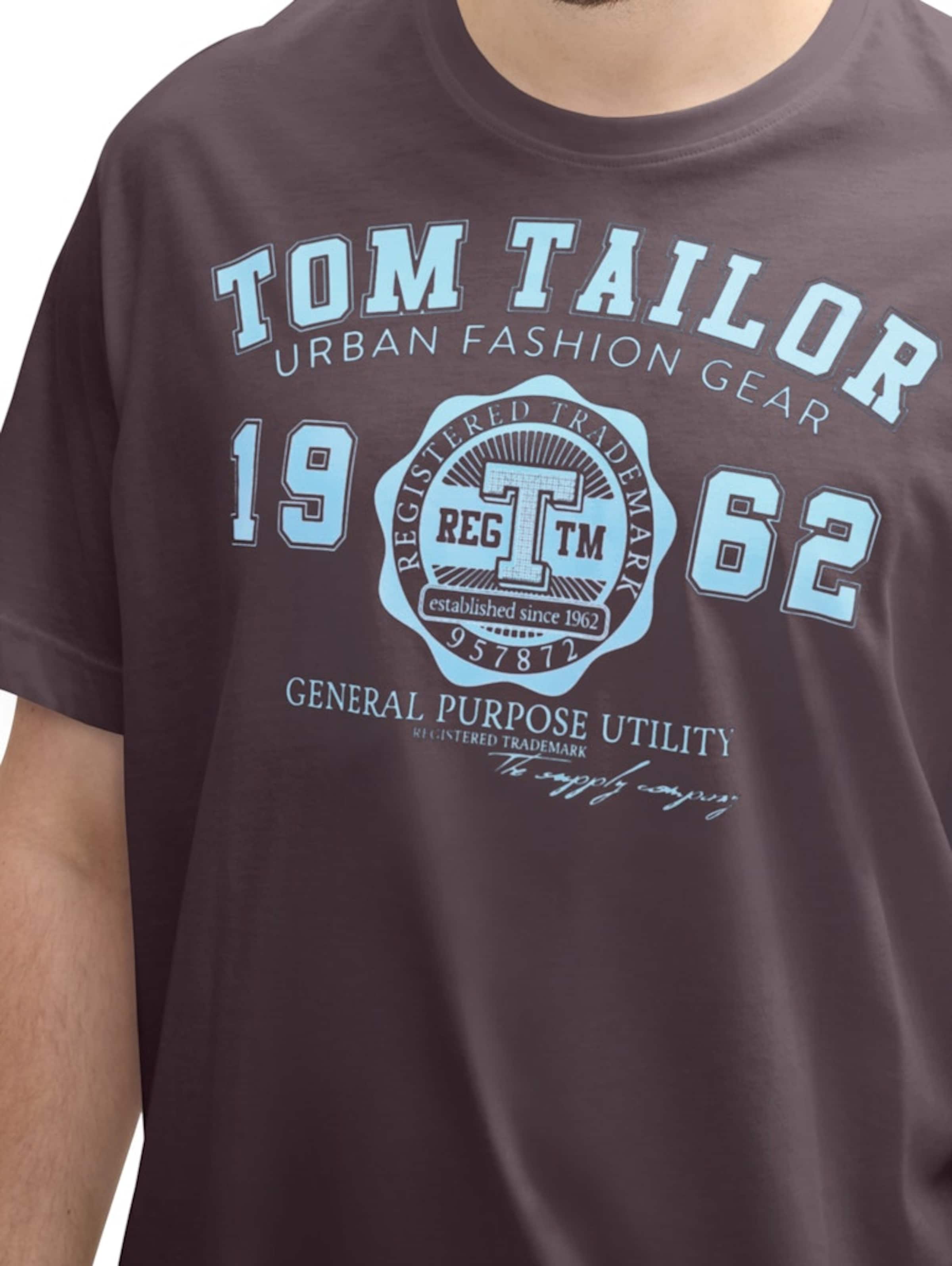 TOM TAILOR Men + T-Shirt in Schwarz
