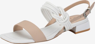 Ekonika Sandalen met riem in de kleur Beige / Wit, Productweergave