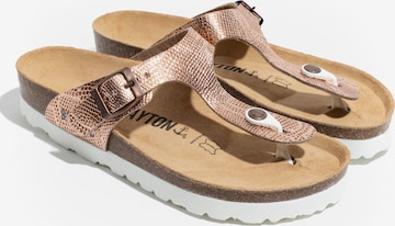 Bayton T-bar sandals 'Carins' in Gold