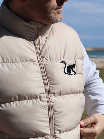 Surf Monkey Sportbodywarmer 'Pufferweste' in Beige: voorkant