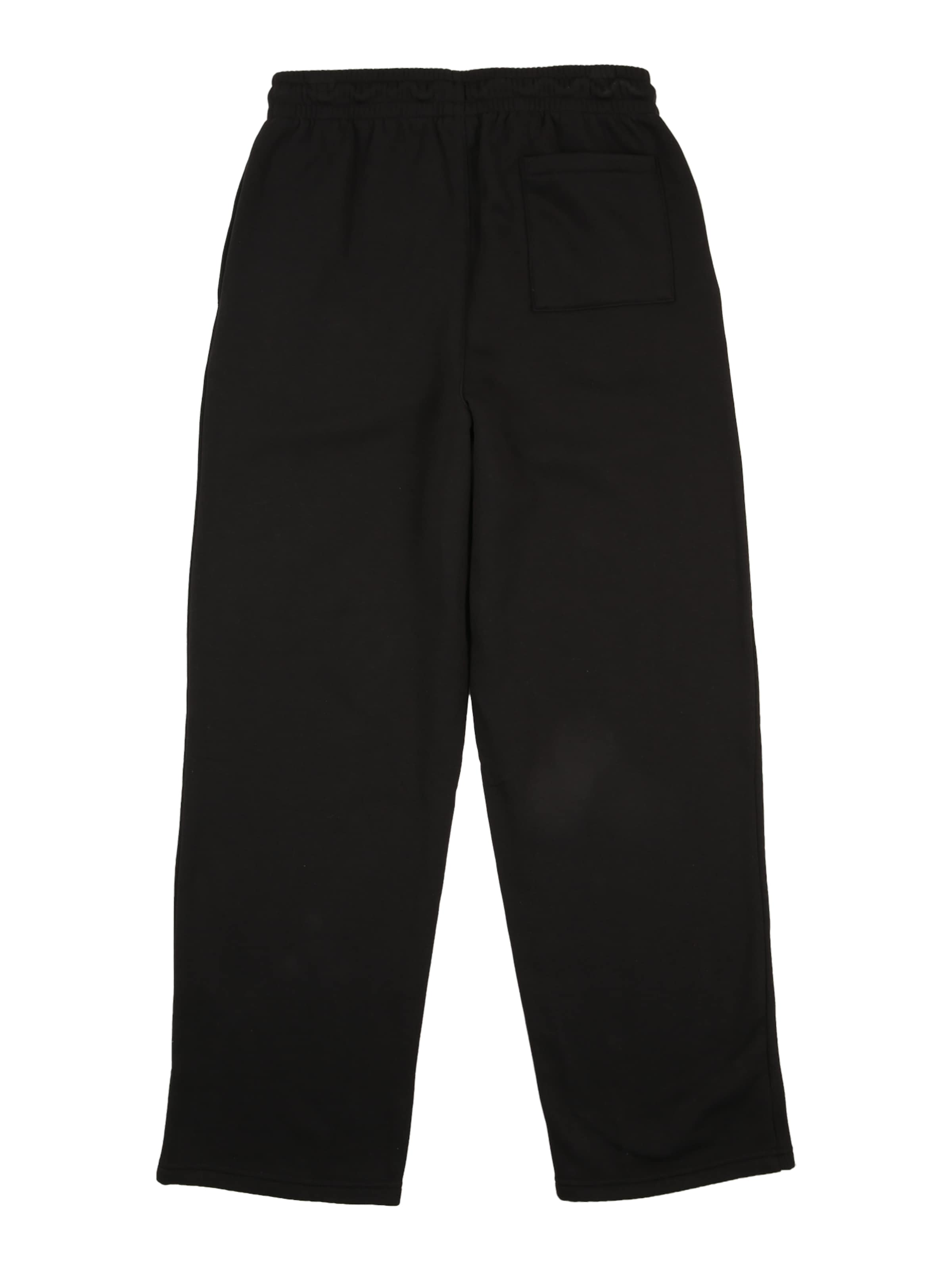 Jordan Regular Byxa 'BRKLYN ESS' i svart