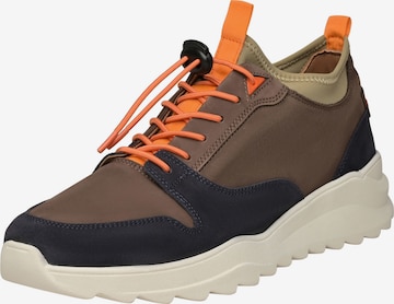 N91 Sneakers 'Style Choice AB' in Brown: front