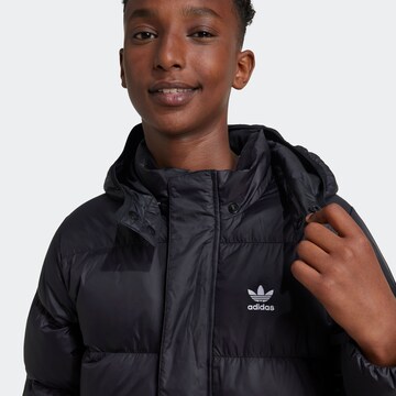 ADIDAS ORIGINALS Winter Jacket 'Adicolor' in Black