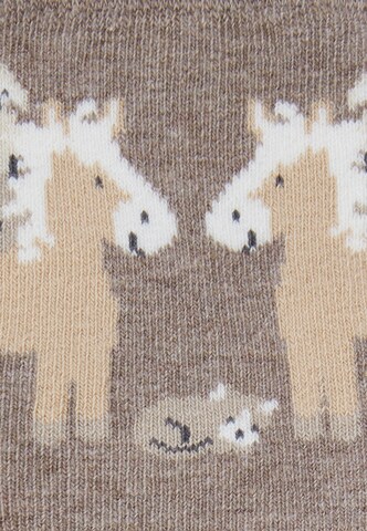 STERNTALER Socks in Brown