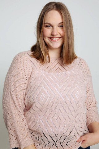 Paprika Sweater in Pink