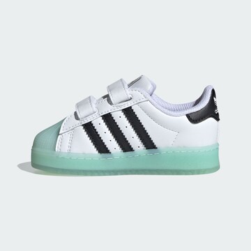 Sneaker ' Superstar ' di ADIDAS ORIGINALS in bianco