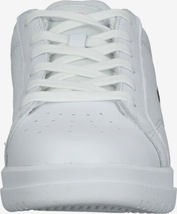 Baskets basses LACOSTE en blanc