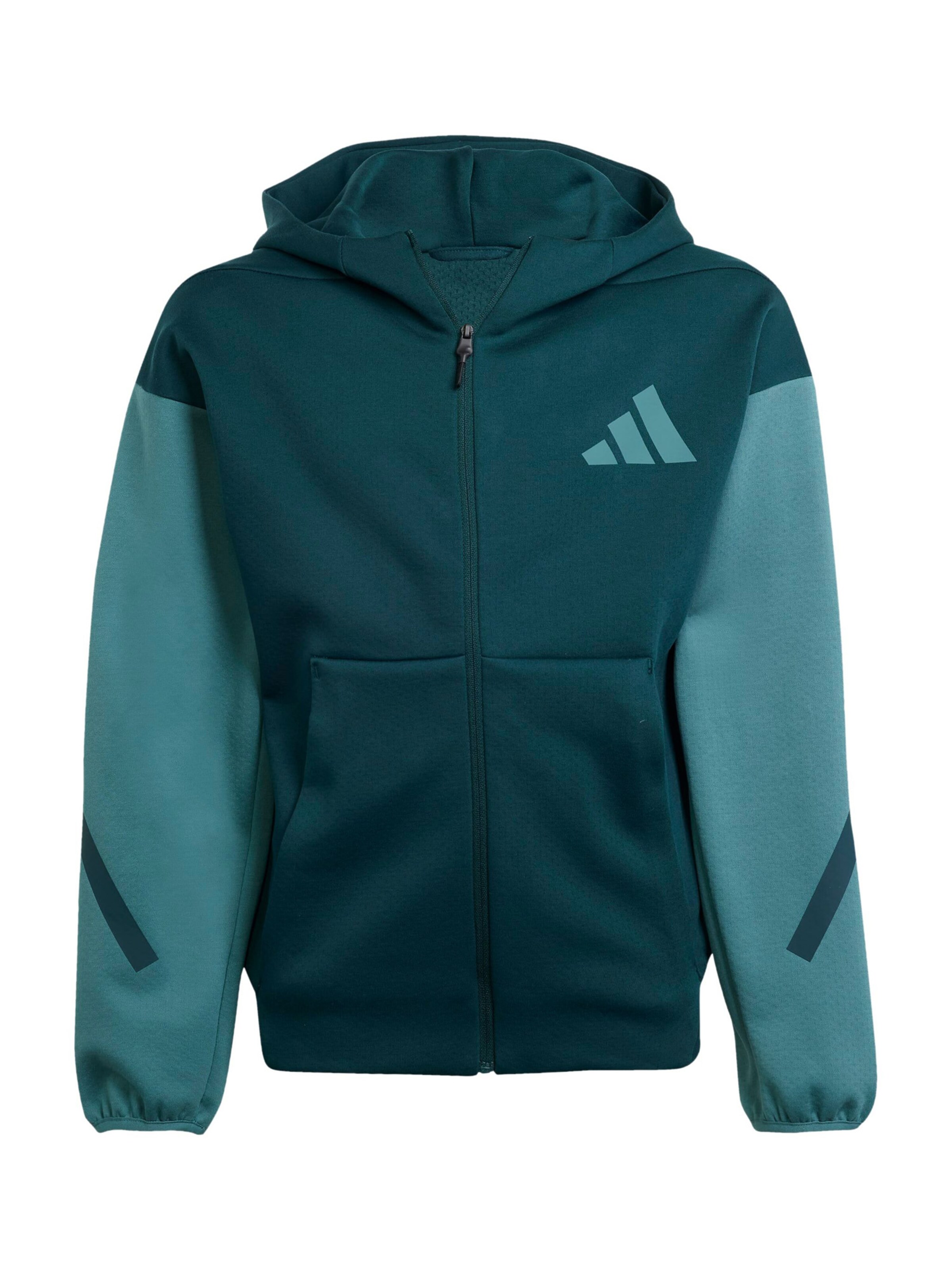 ADIDAS SPORTSWEAR Αθλητική ζακέτα φούτερ 'Z.N.E.' σε πράσινο: μπροστά