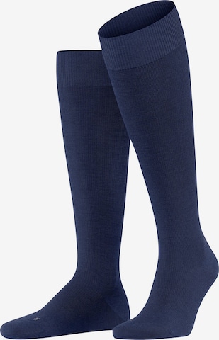 FALKE Kniestrümpfe 'Energizing Wool' in Blau: Vorderseite