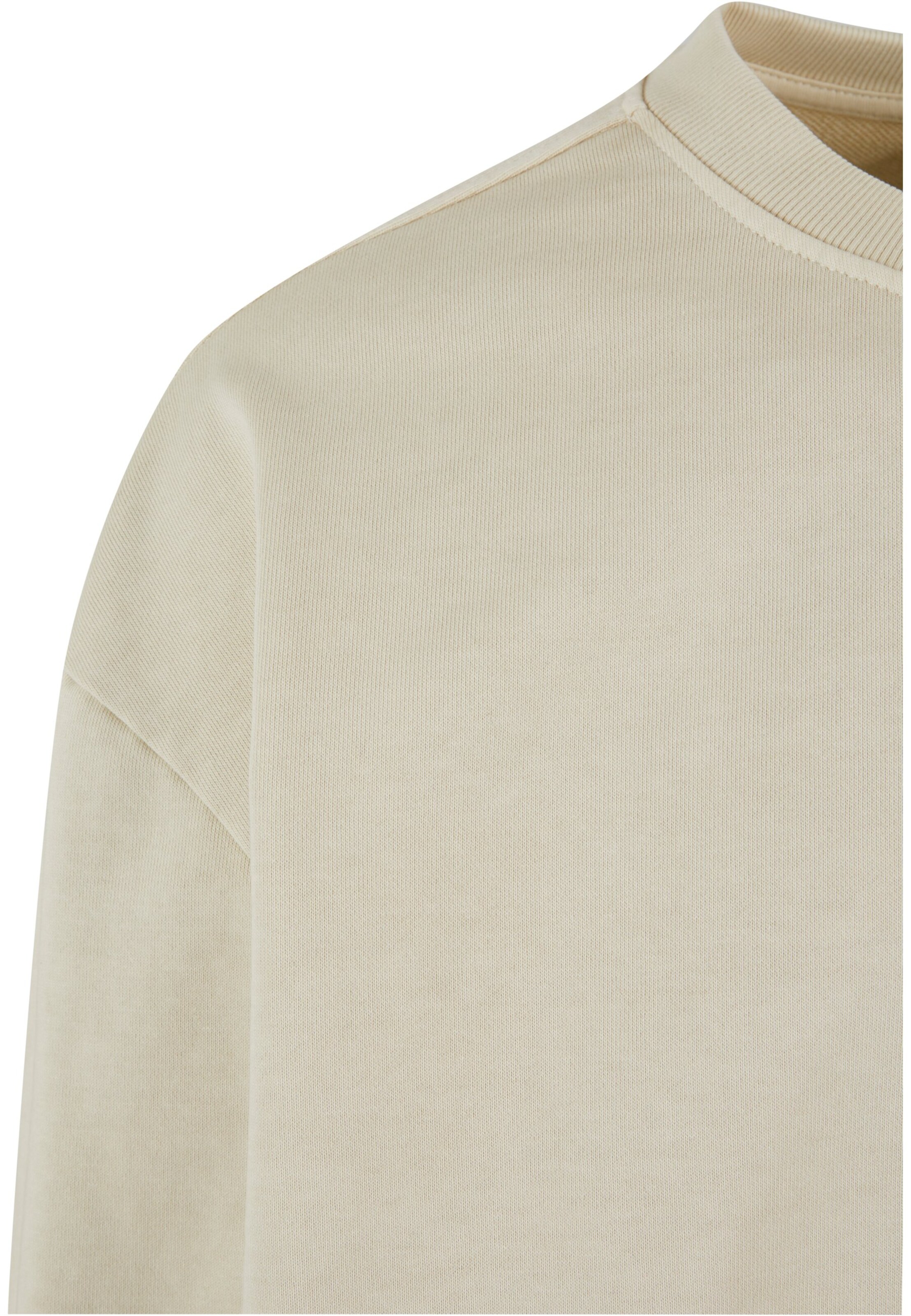 Sweat-shirt 'Terry Classic' Lost Youth en beige