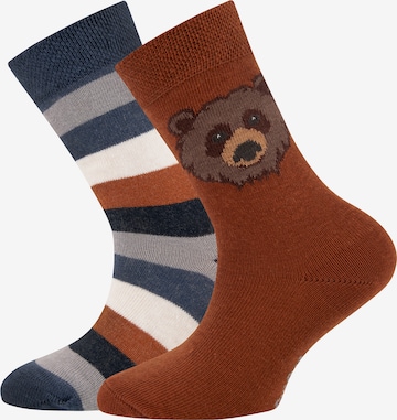 EWERS Socks in Brown: front