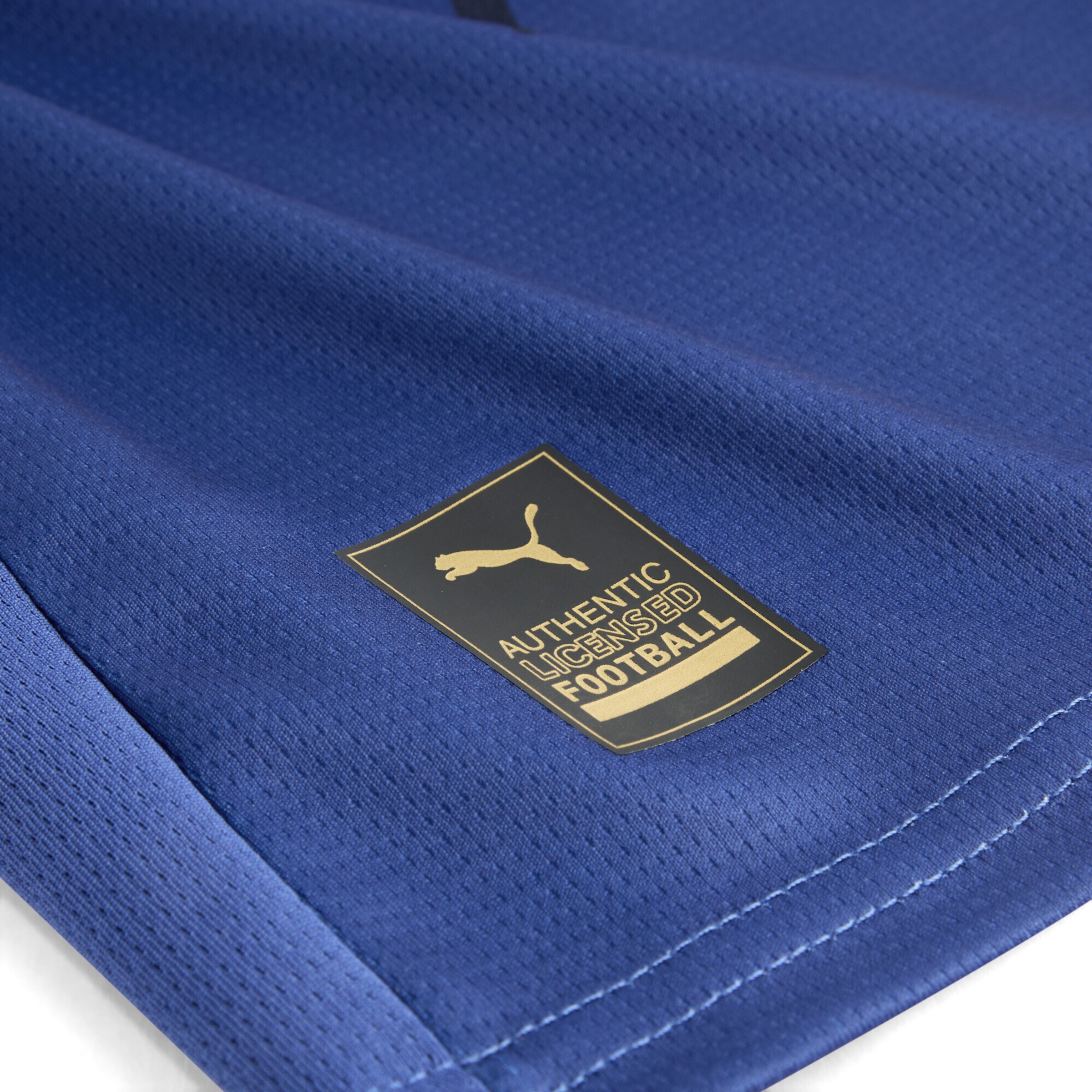 PUMA Performance shirt 'Holstein Kiel 25/26' in Blue