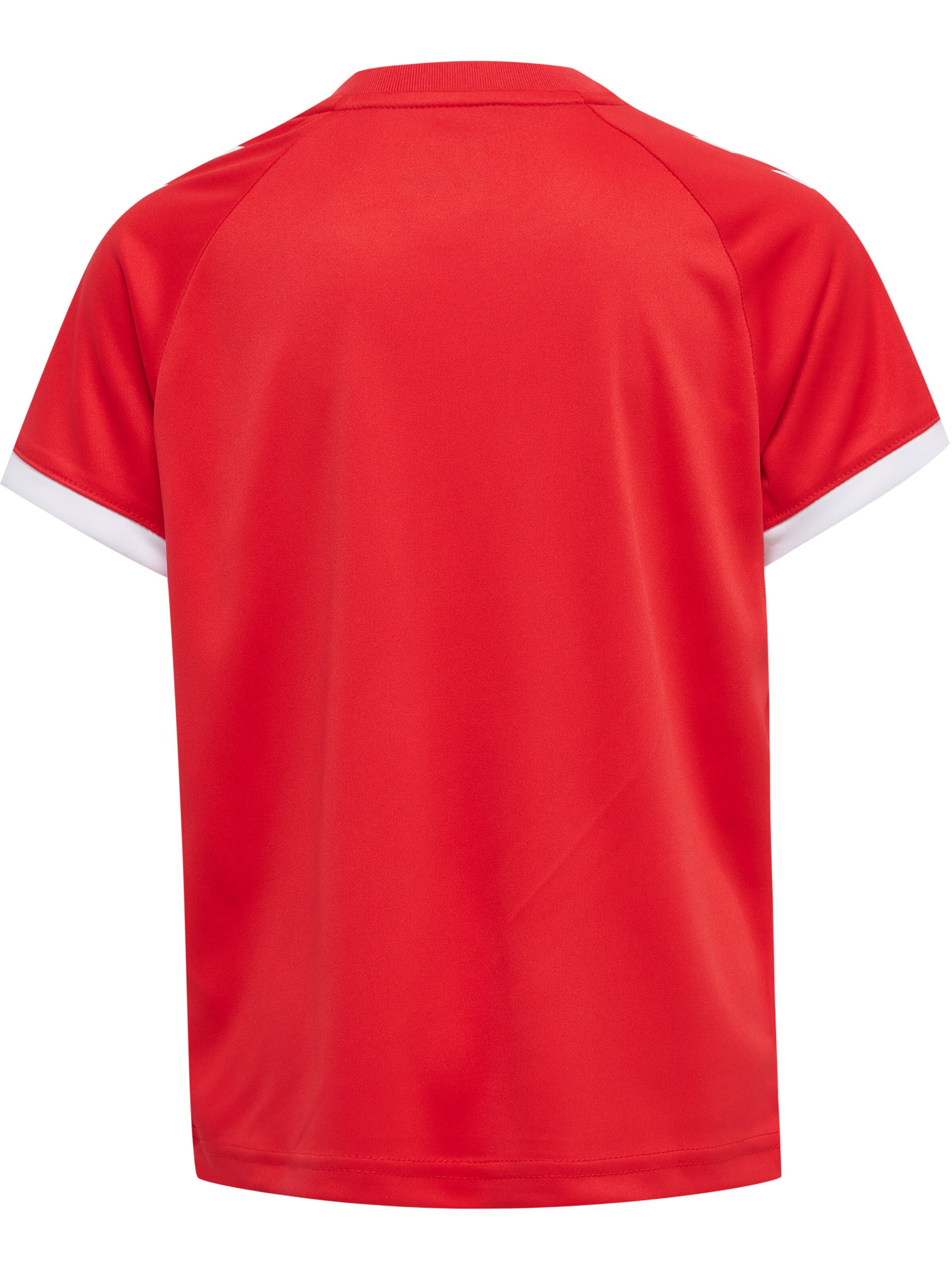 Hummel Funktionsshirt 'Core' in Rot
