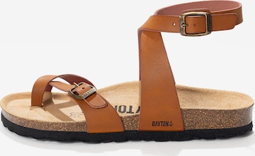 BaytonSandale s remenčićima 'Swan' - smeđa boja: prednji dio