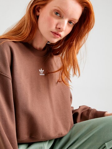 ADIDAS ORIGINALS Μπλούζα φούτερ σε καφέ