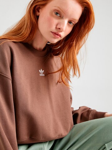 Felpa di ADIDAS ORIGINALS in marrone