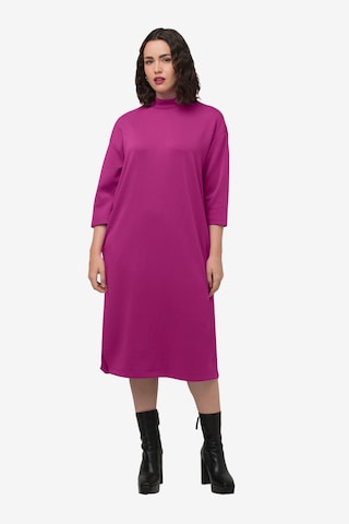 Robe Ulla Popken en violet