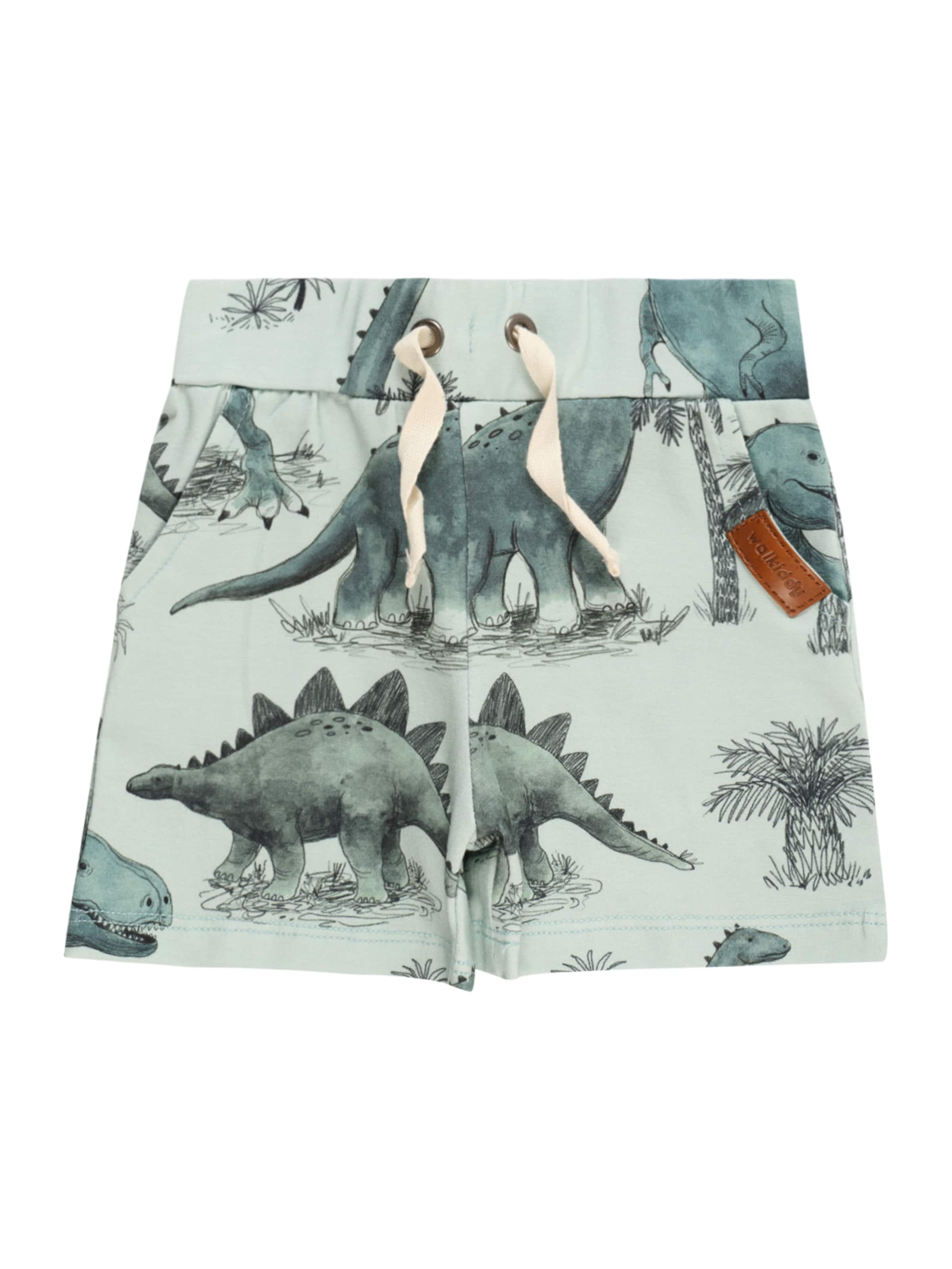 Walkiddy - regular Pantalón en verde: frente