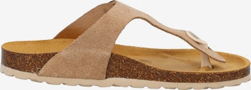 Palado Zehentrenner 'Palado Kos Suede Premium Leather' in Beige