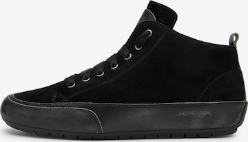 Candice Cooper Sneaker high in Schwarz: Vorderseite