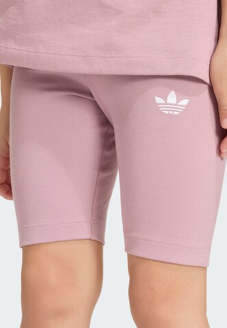 Set di ADIDAS ORIGINALS in lilla
