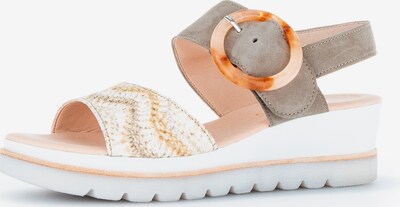 Sandale cu baretă GABOR pe maro deschis / gri taupe / alb, Vizualizare produs