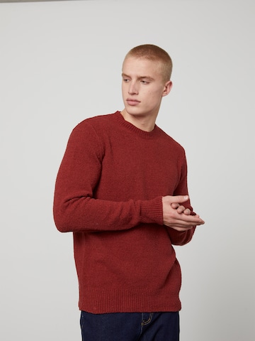 DAN FOX APPAREL Regular fit Sweater 'Laurenz' in Brown: front