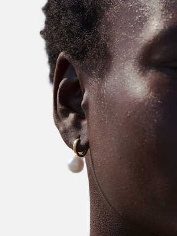 timi of sweden Oorbellen 'Essie' in Goud