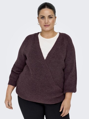 ONLY Carmakoma Pullover in Braun